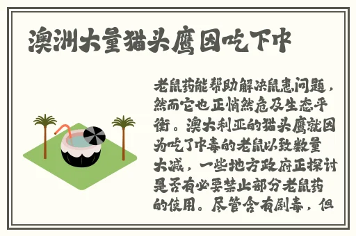 bj19未通过审核
